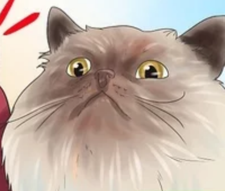 A slightly cartoony close-up of a rather round cat face. It is various shades of light brown, and seems to stare down at you, disapprovingly.